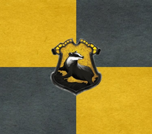 Load image into Gallery viewer, Harry Potter - houses