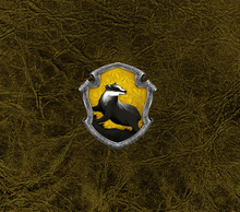 Load image into Gallery viewer, Harry Potter - houses
